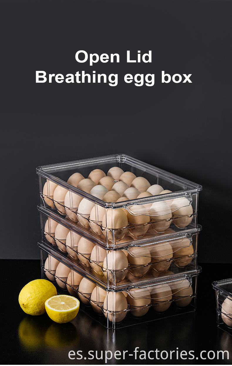 Egg Box